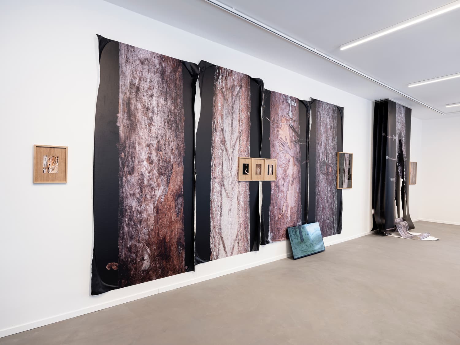 Iveta Gabaliņa :: Meža vakari